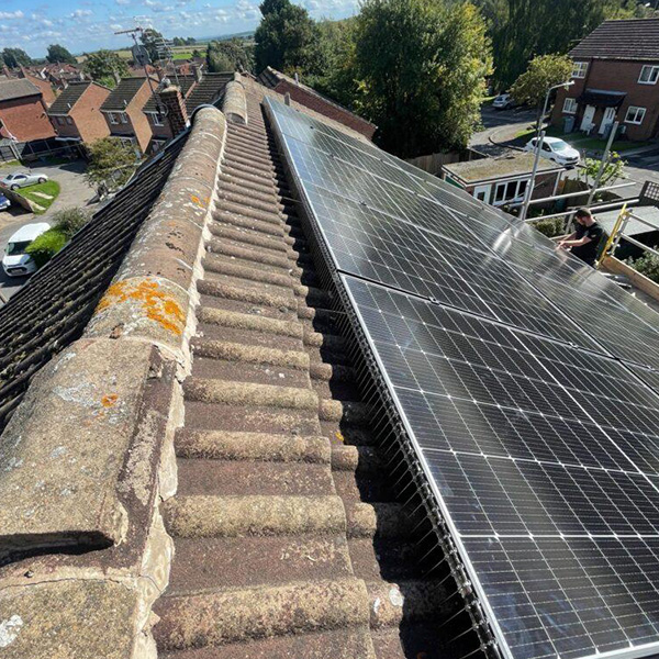 Hicks-768x1024