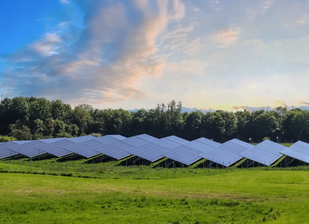 Solar Panel for Farms